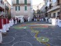 infiorata (109)